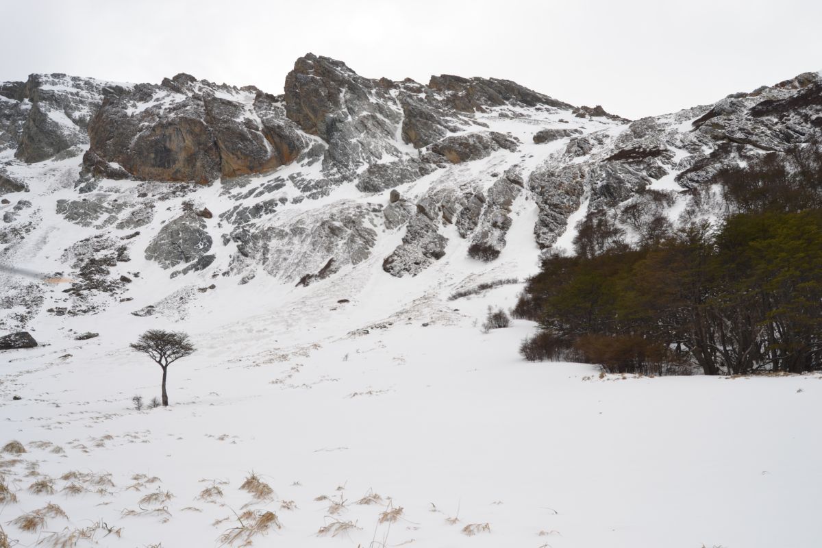 nieve-invierno-ushuaia-terramar